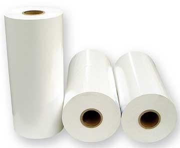 Rollo de Laminado en Frio 13